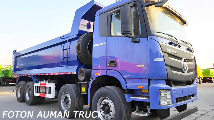 Foton GTL 12 Wheel Dumper Truck for Sale Price in Dominican